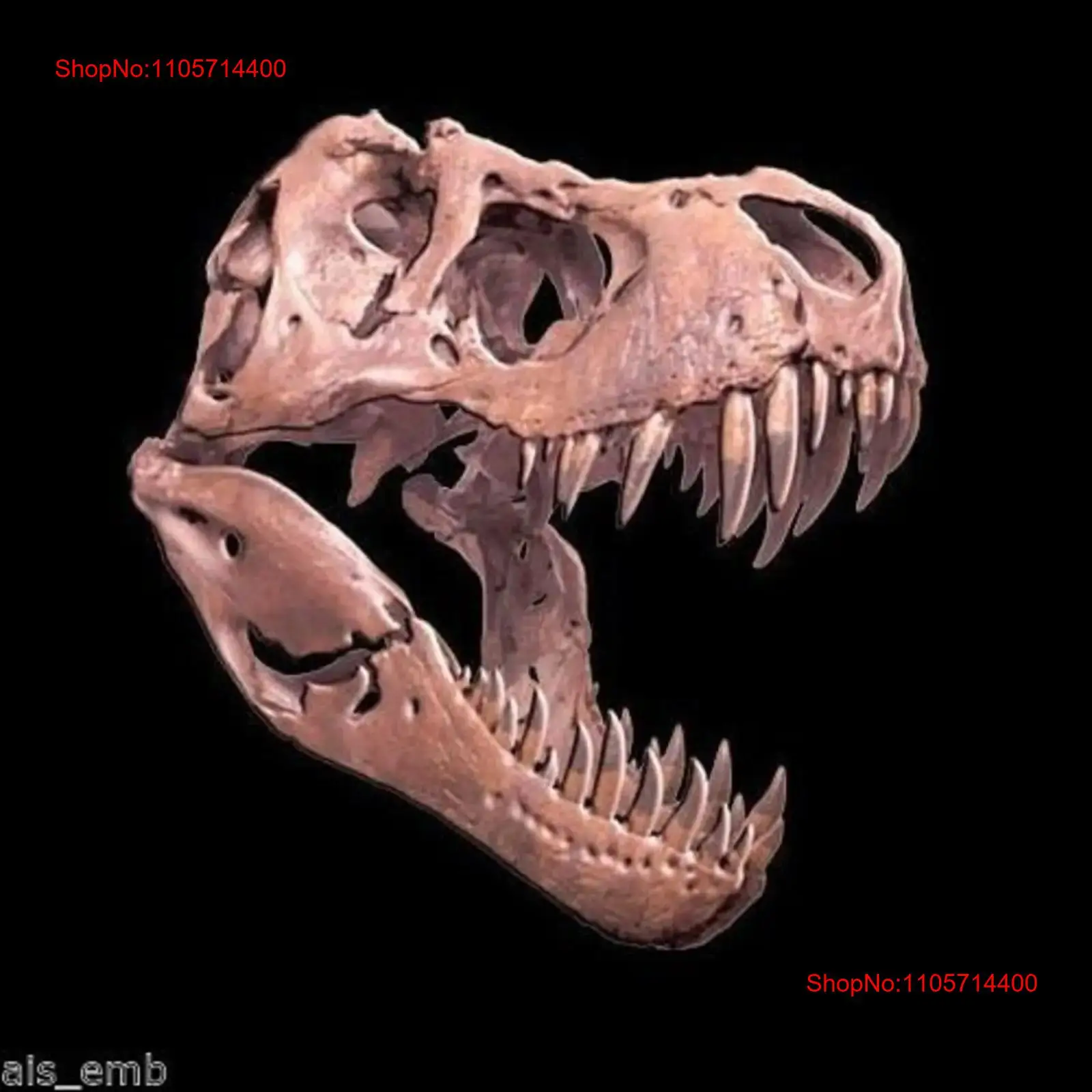 3D Printing Requests - Maglietta T-Rex Dinosauro Teschio Stampa 3D