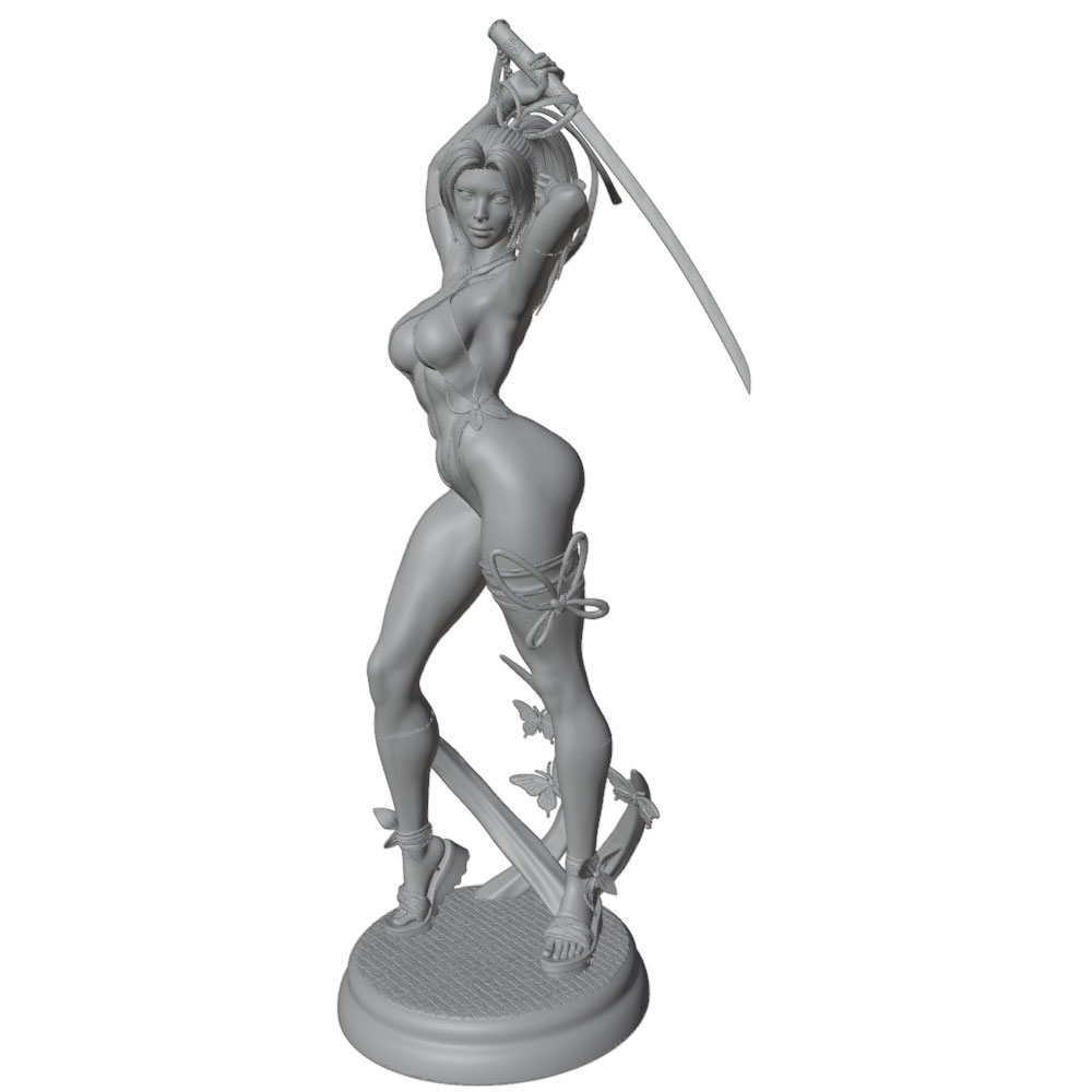 1/24 Femmina 	 Kit di modellin - 3D Printing And Additive Manufacturing recensione e prezzo