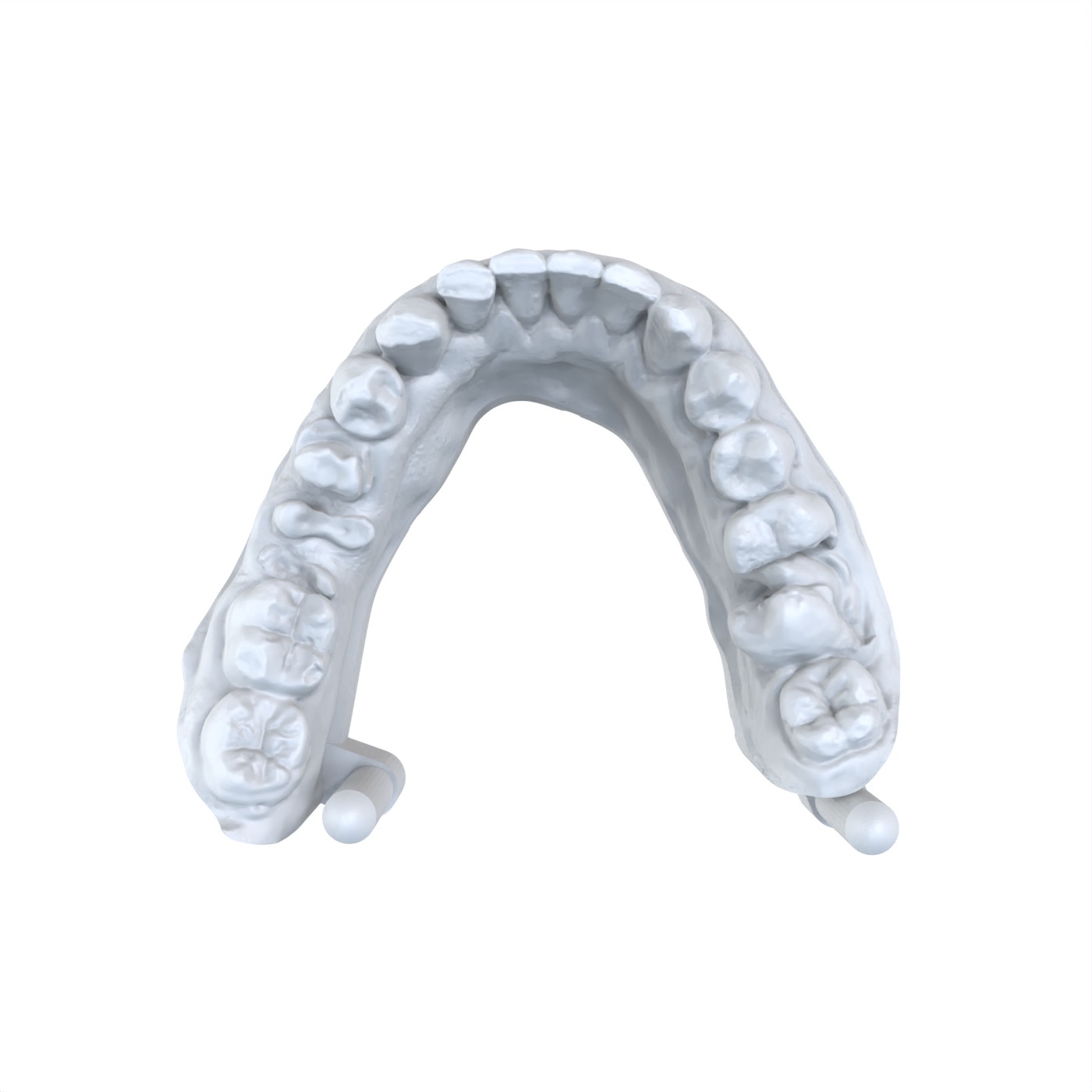 1 PCS Modello dentale Preferit - 3D Printing Dental recensione e prezzo